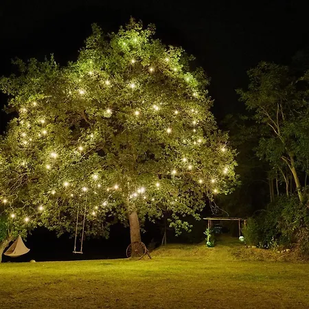 Pecoranera Bed & Breakfast *
