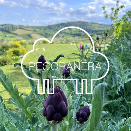 Nocleg ze śniadaniem Pecoranera Bracciano (Forli-Cesena)