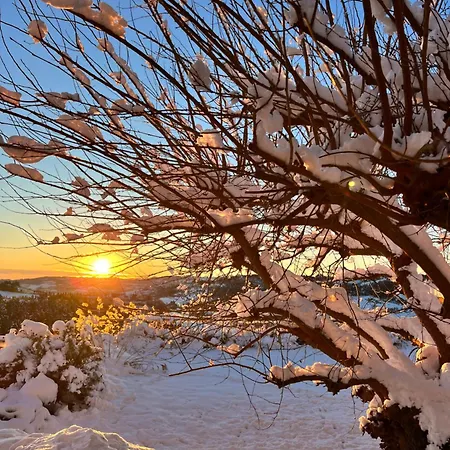 Pecoranera Bracciano (Forli-Cesena)