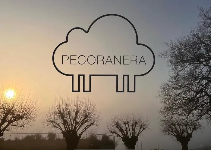 Pecoranera