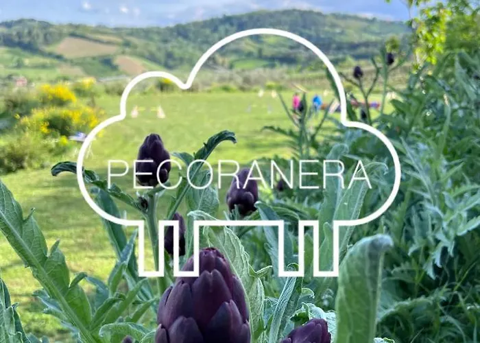 Bed and breakfast Pecoranera Bracciano (Forli-Cesena)