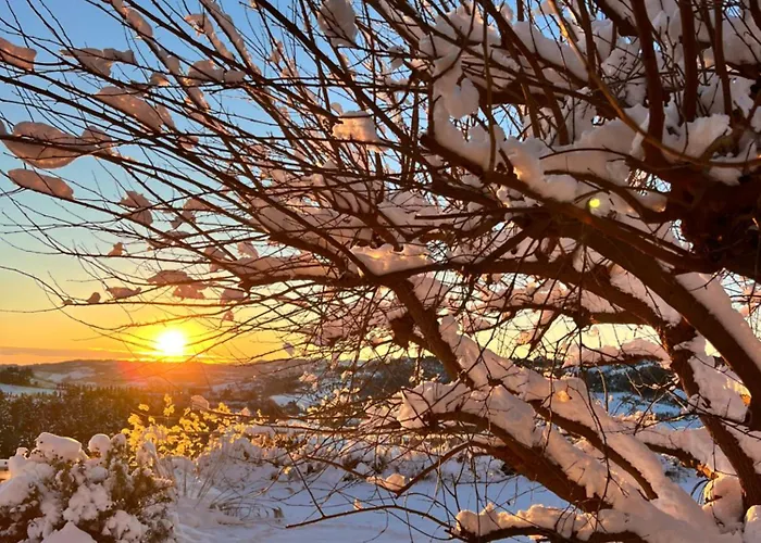 Pecoranera Bracciano (Forli-Cesena)